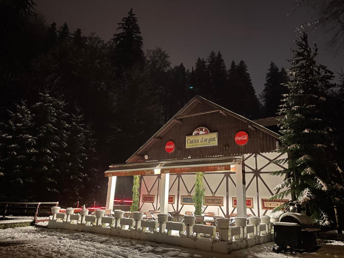 Vila De Argint Hotel Sinaia Exterior photo