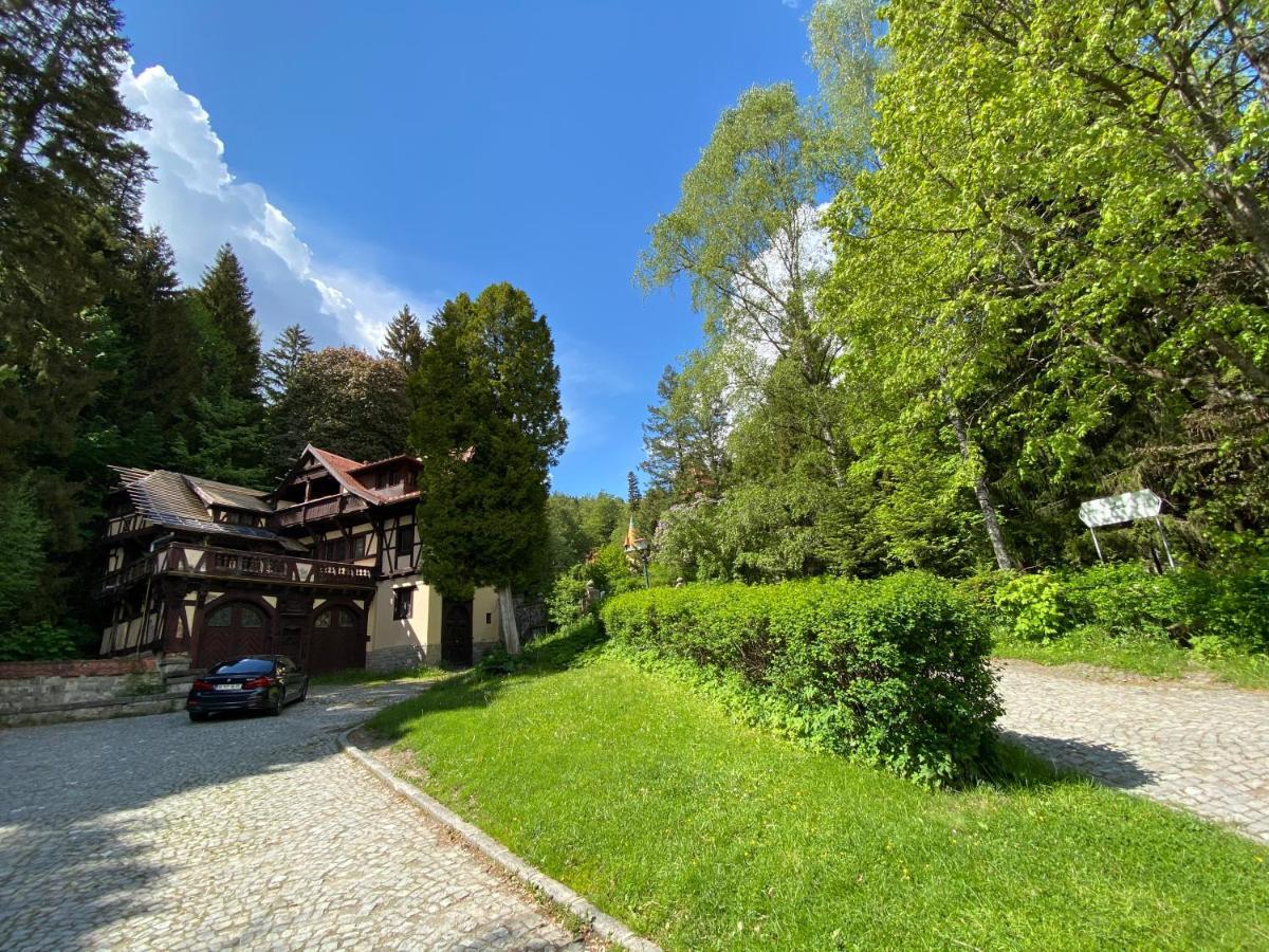 Vila De Argint Hotel Sinaia Exterior photo