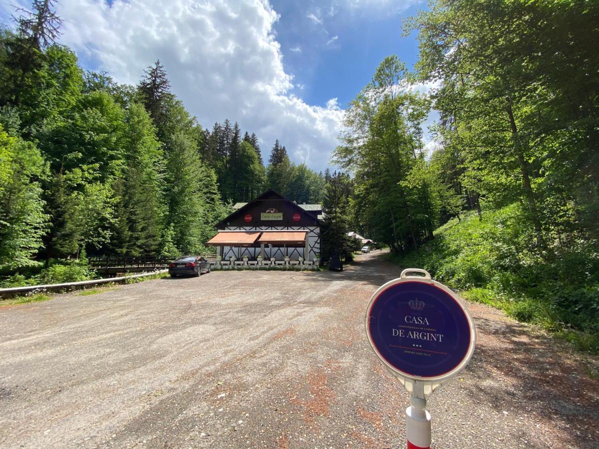 Vila De Argint Hotel Sinaia Exterior photo